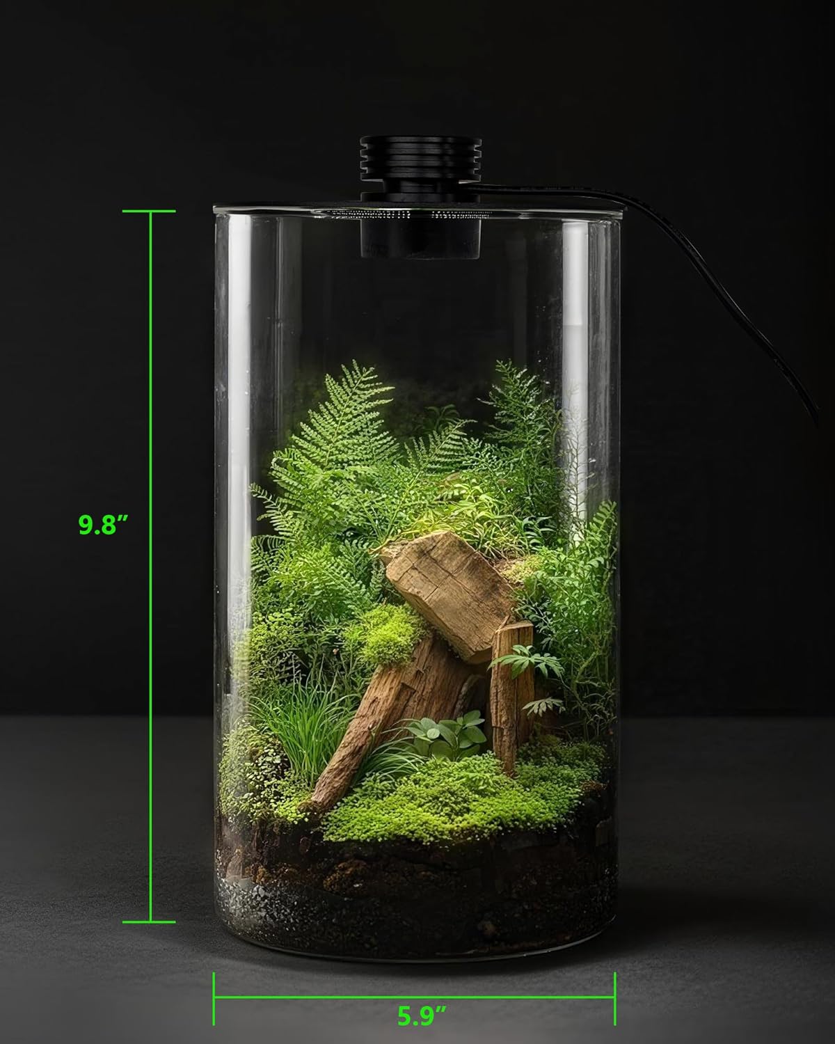 Indoor Glass Terrarium with Gr - Home Office Lamp ulasan dan harga