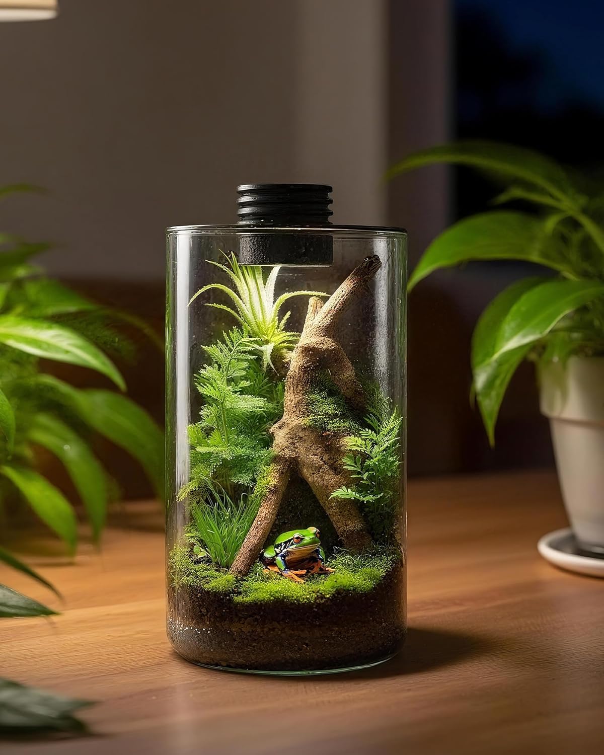 Indoor Glass Terrarium with Gr - Home Office Lamp ulasan dan harga